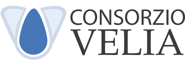 Logo Consorzio Velia